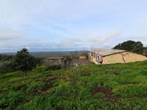 Terreno di 5 Ha con capannone rustico e pozzo