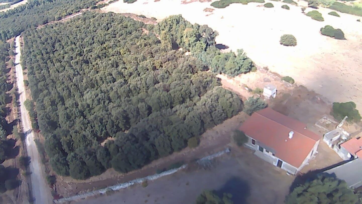 Casa colonica con ampio terreno e stalle, poco distante dal mare