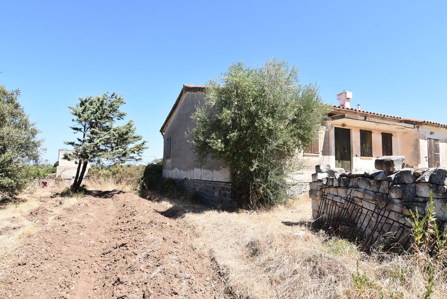 Casa colonica con ampio terreno e stalle, poco distante dal mare