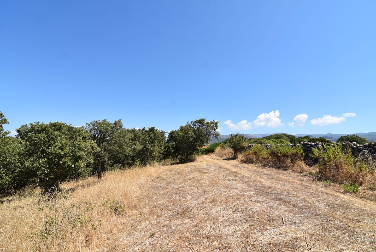 Casa colonica con ampio terreno e stalle, poco distante dal mare