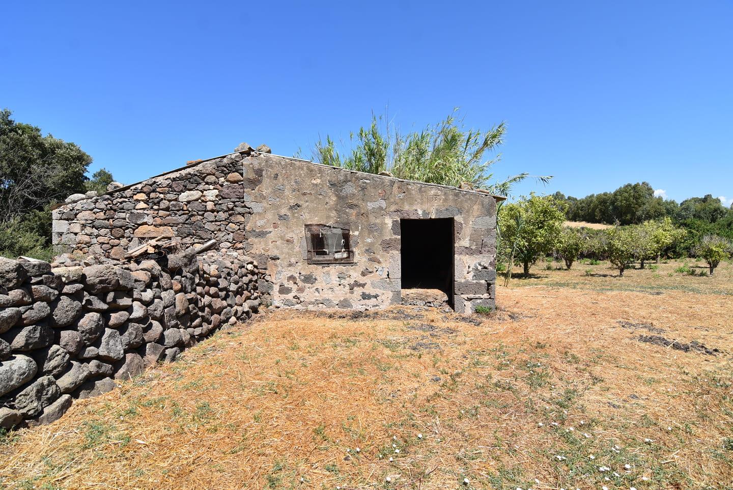 Casa colonica con ampio terreno e stalle, poco distante dal mare