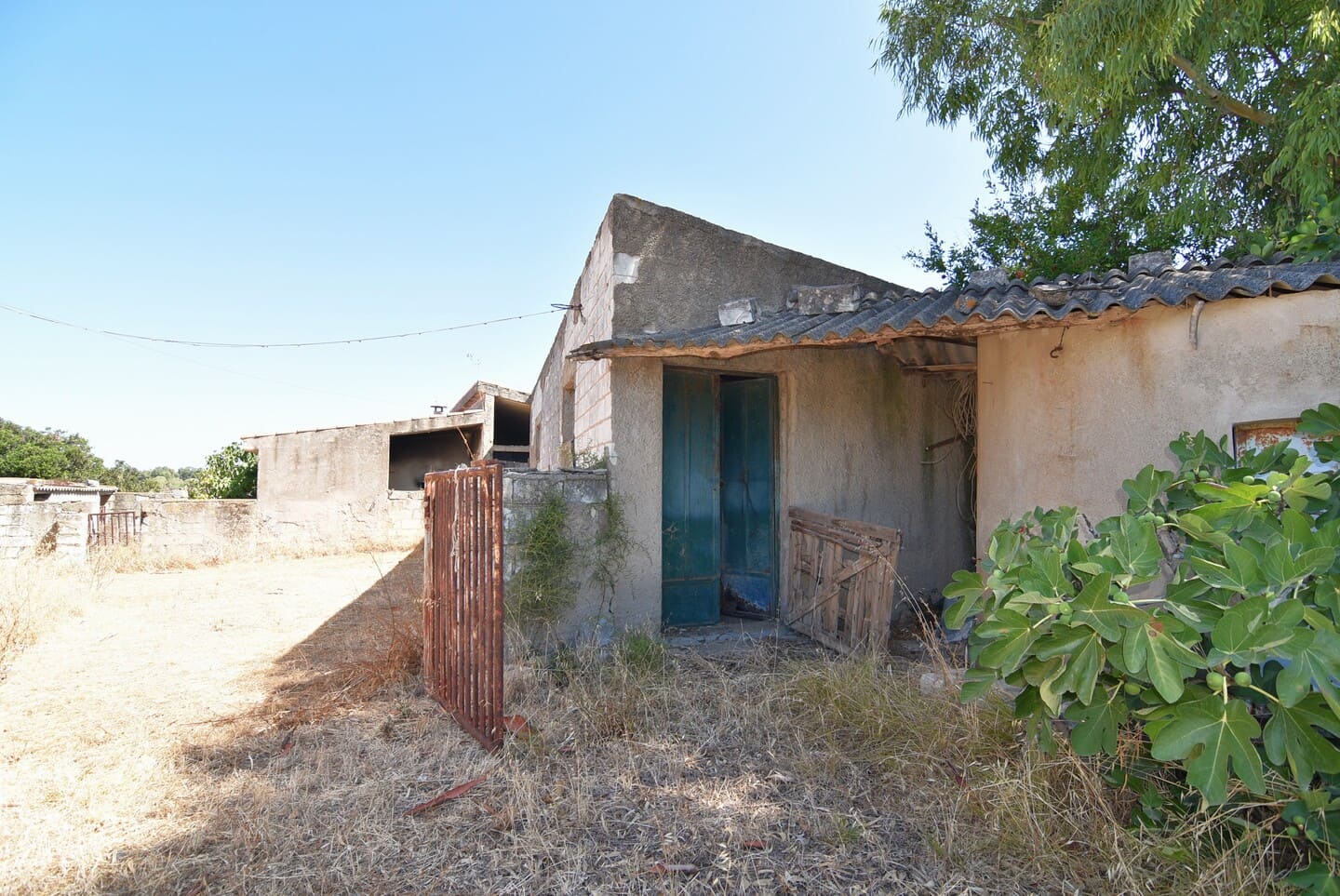 Casa colonica con ampio terreno e stalle, poco distante dal mare
