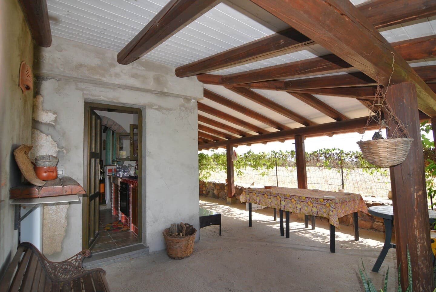 Villa con piscina circondata da giardino e ulivi