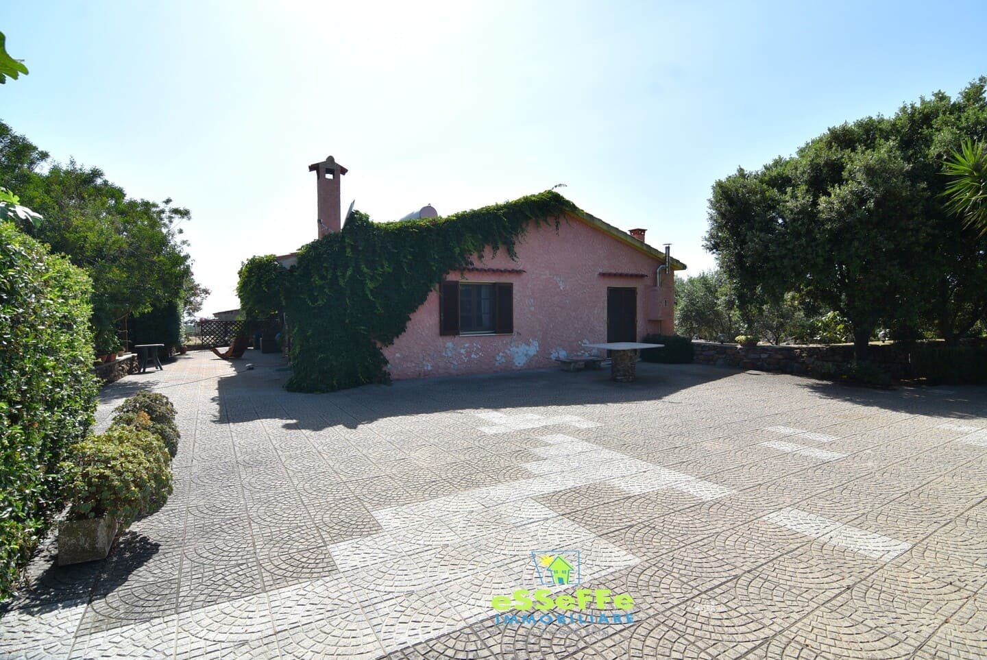 Villa con piscina circondata da giardino e ulivi