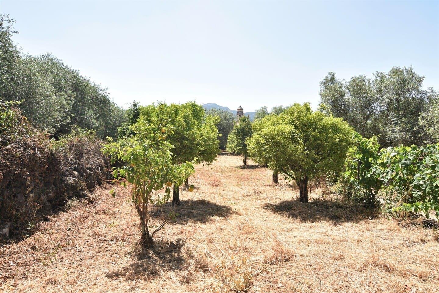 Casa indipendente su due livelli con 600 mq di giardino